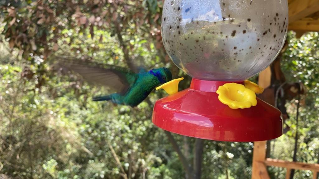 Un Refugio En Las Montanas De Tabio Villa Bagian luar foto