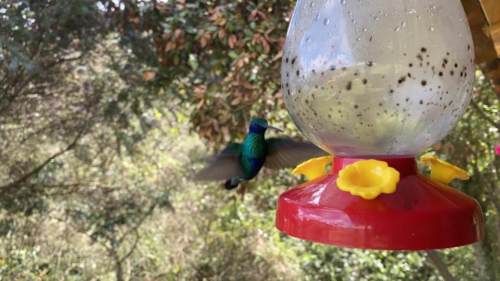 Un Refugio En Las Montanas De Tabio Villa Bagian luar foto